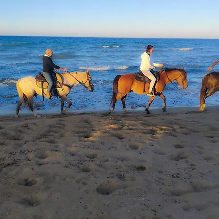 Holiday home Casaoltremare Puglia Mare, Relax E Tradizione *